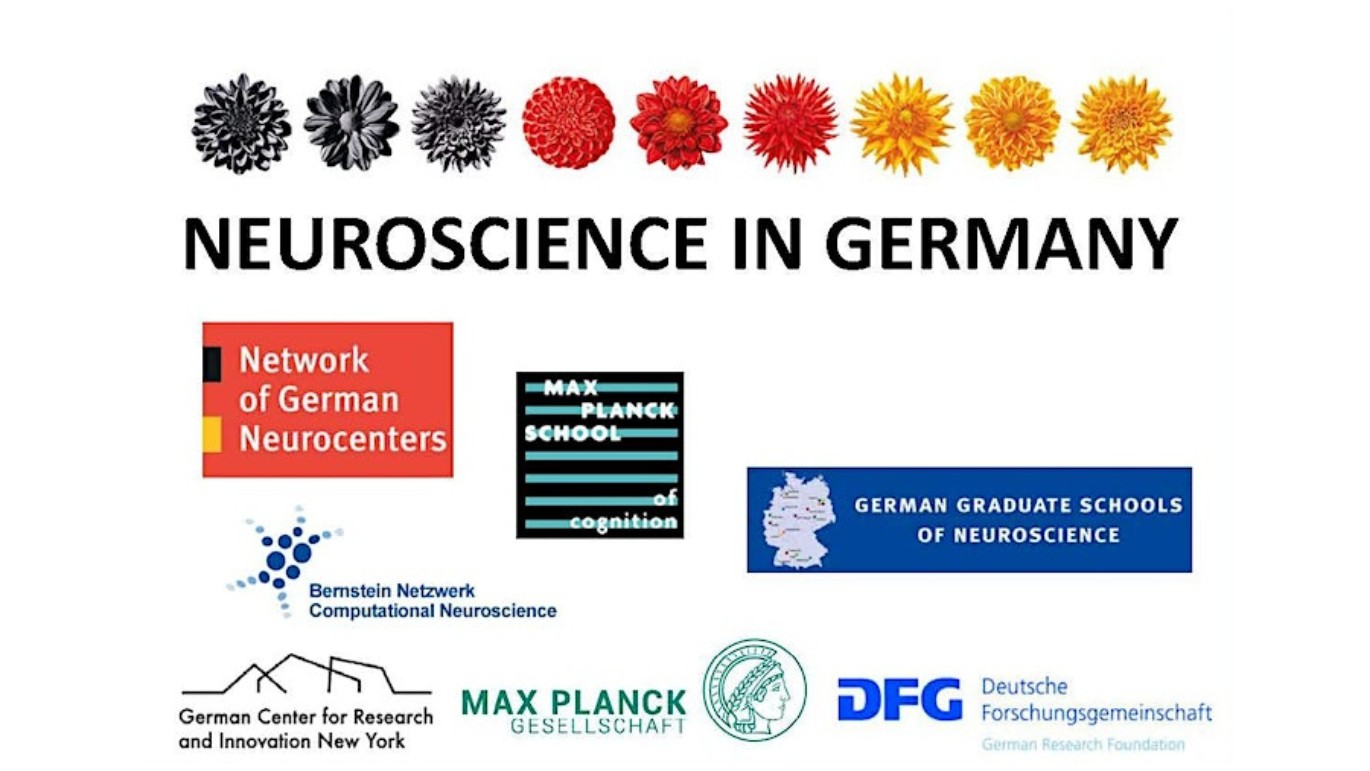 phd in neuroscience germany