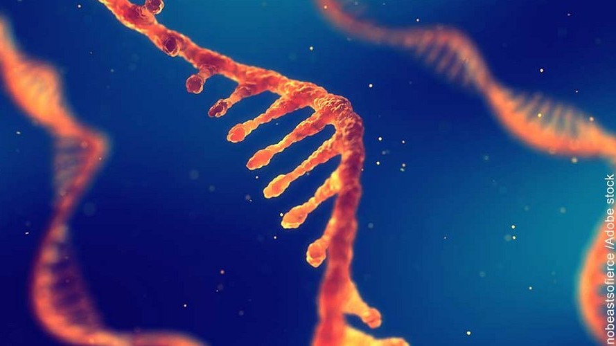 DNA stock photo